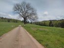 Combe des Adrets